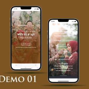 Demo 01