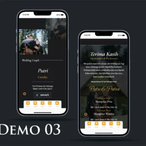 Demo 03